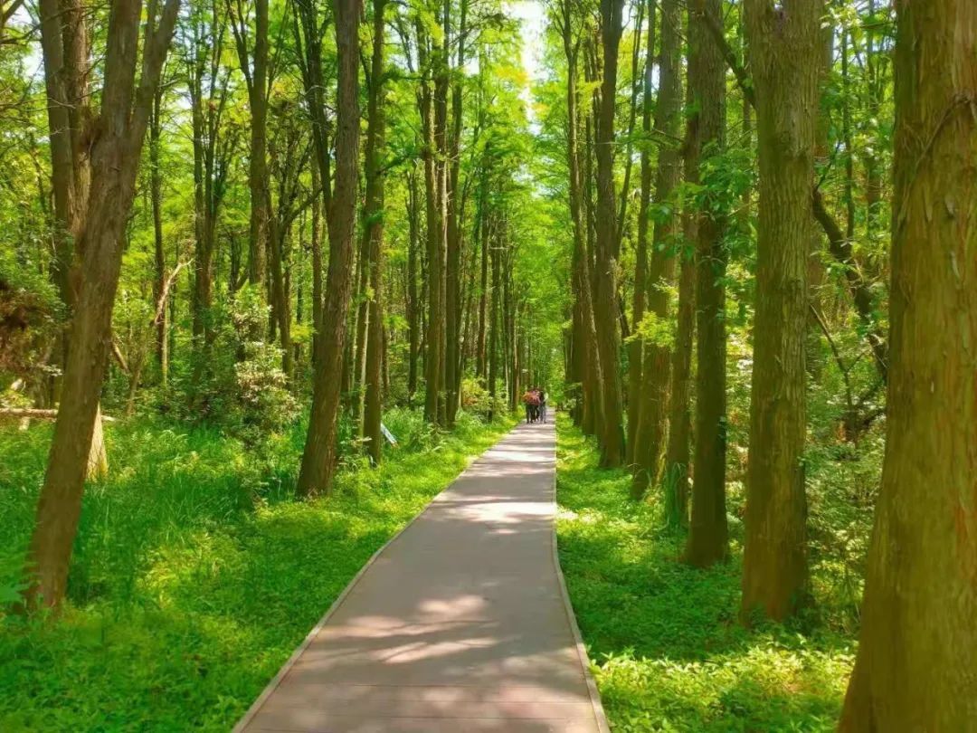 苏州旅游自驾一日游,苏州旅游一日游亲子游