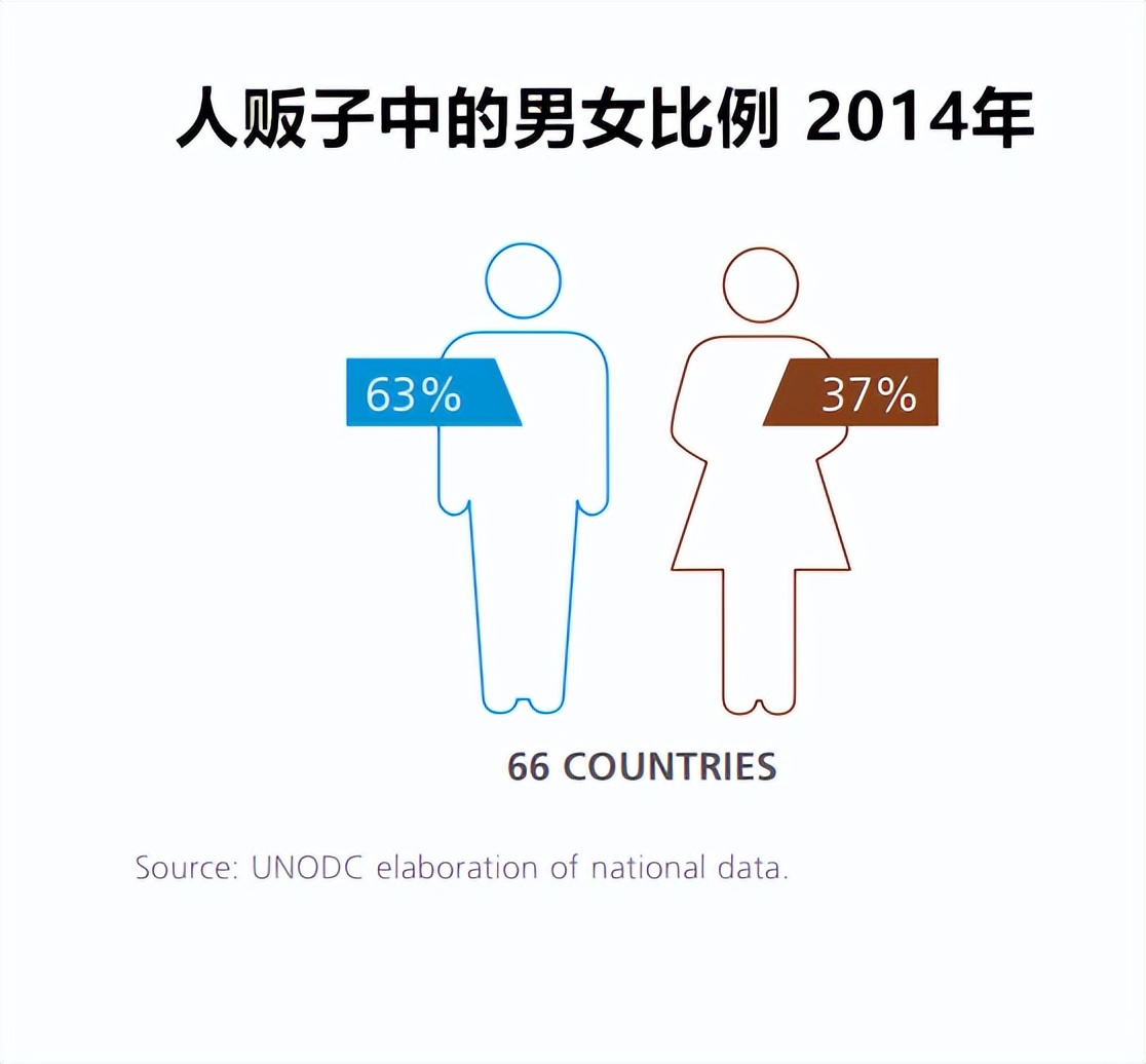 全球人口贩卖中，女人、儿童、男人这些受害者的“用途”有哪些？