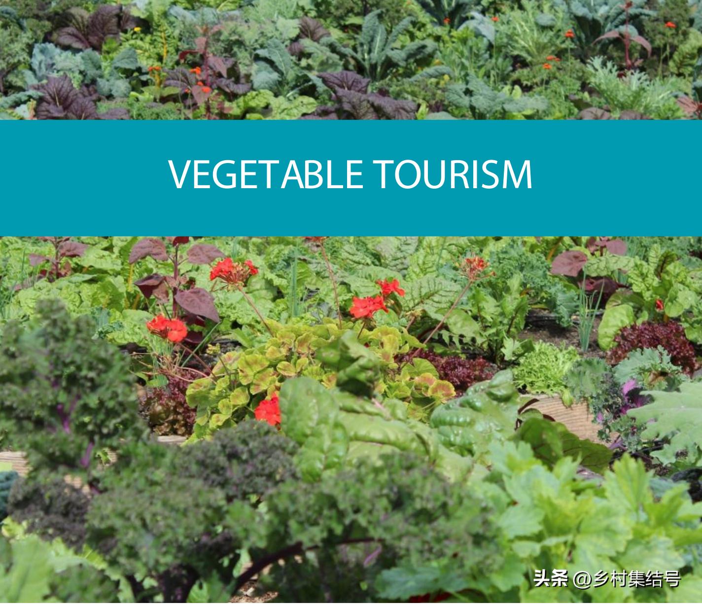 鎵樺痉鎽╃櫥,鑻卞浗鎵樺痉鎽╃櫥灏忛晣