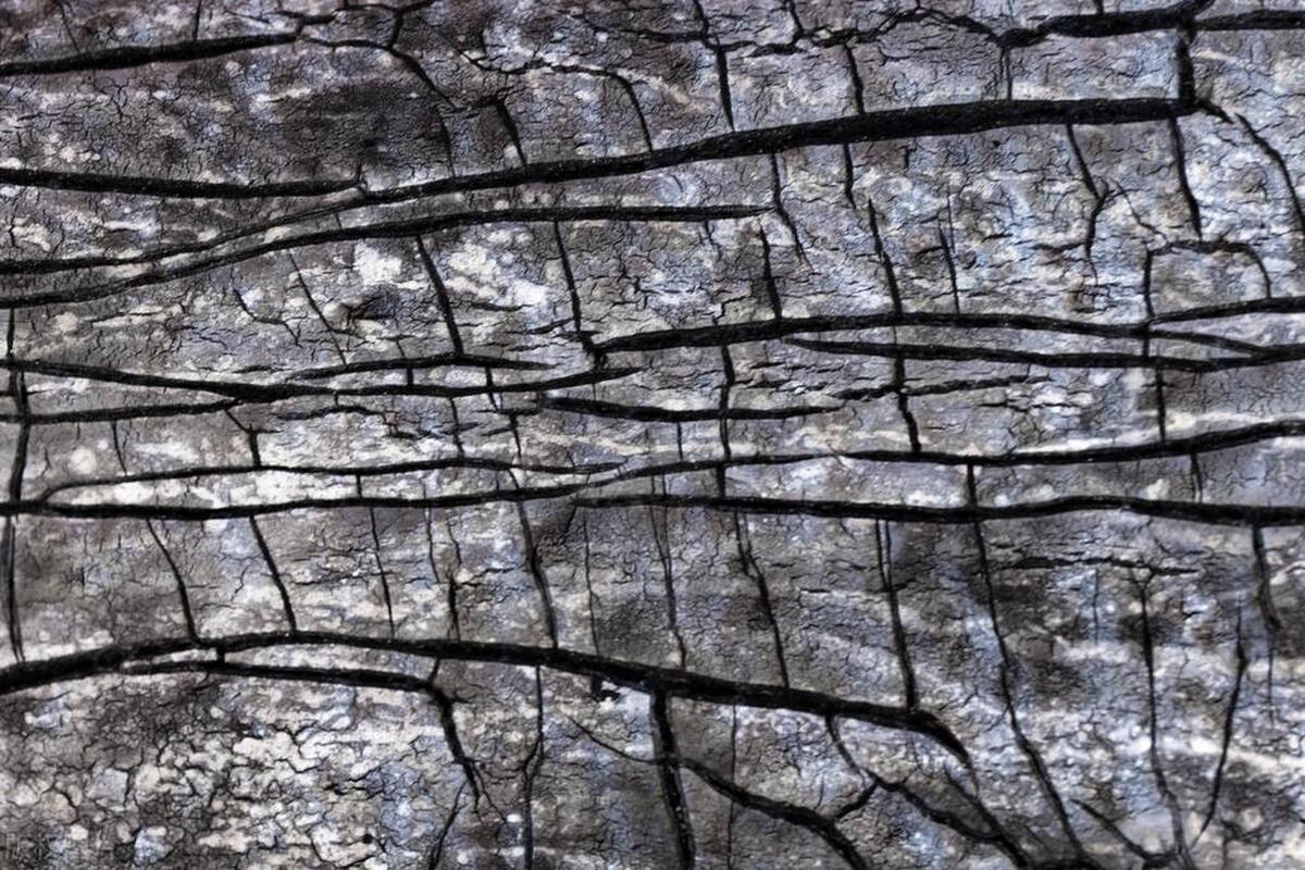 中国瓷砖500强,中国十大品牌瓷砖马可波罗和东鹏