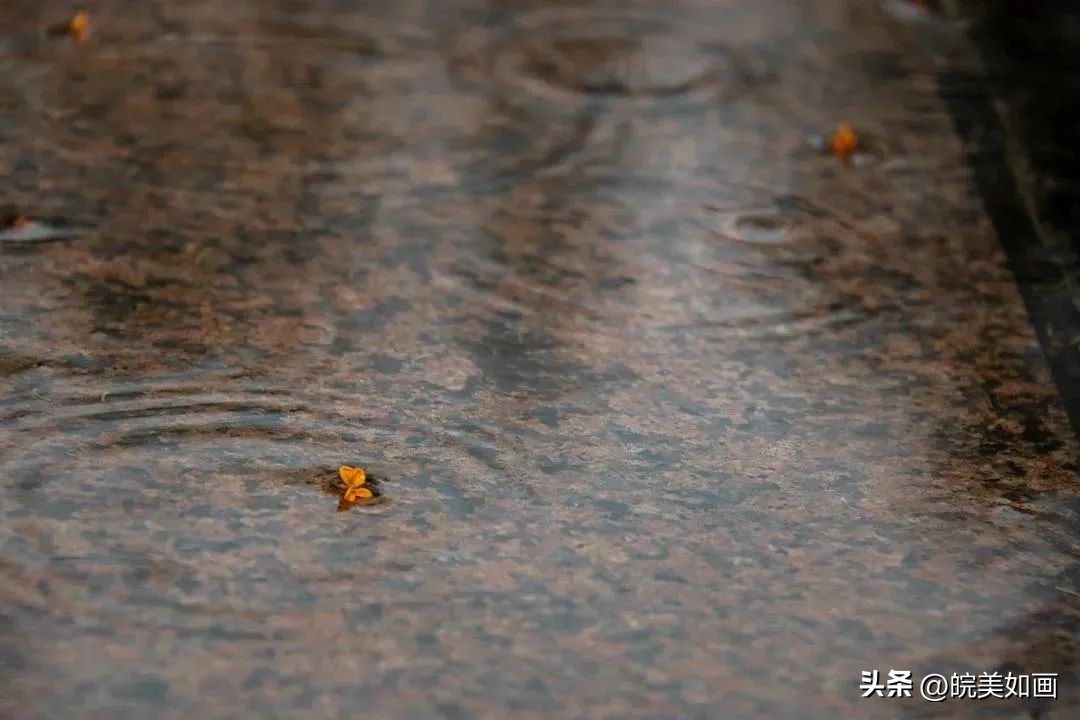 安徽大学好看的风景,高校最美秋景