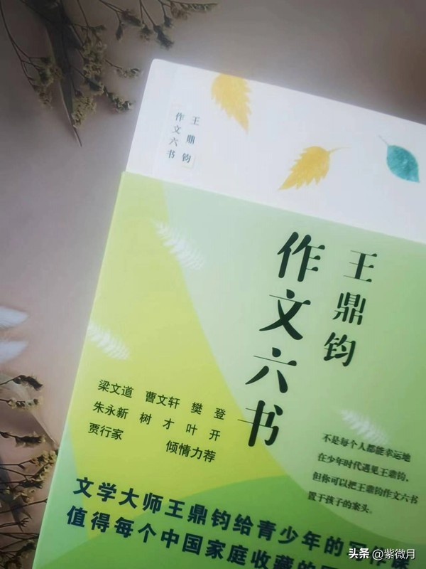 王鼎钧作文六要素怎么样,写作有方法王鼎钧