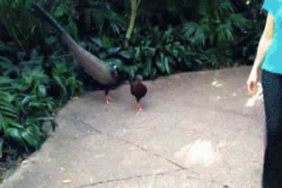 屈臣氏为什么那么香,屈臣氏为什么都这么便宜