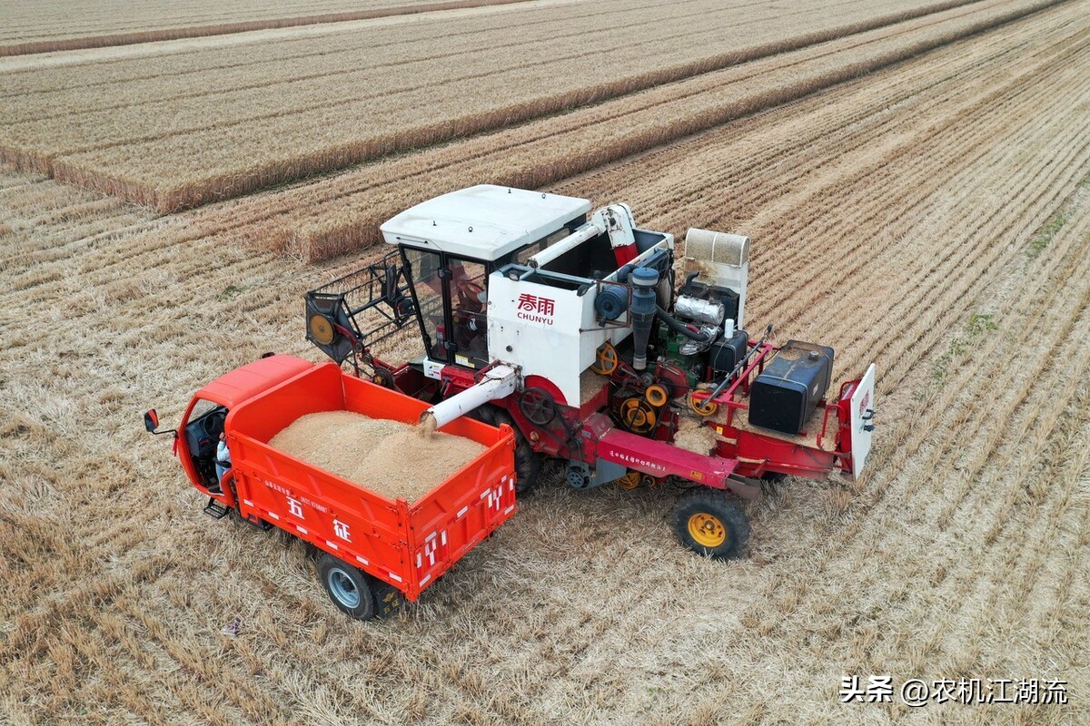 雷沃谷神最大的小麦收割机,雷沃谷神收割机收割小麦第一视角