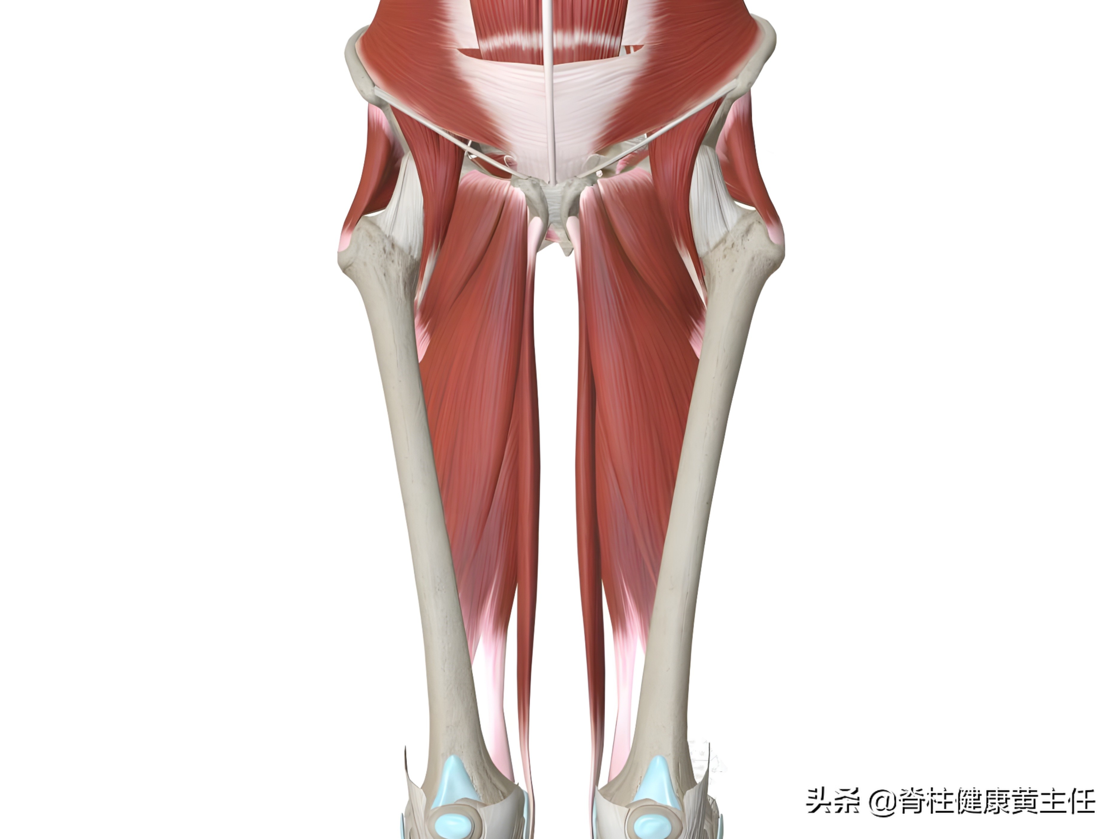 怎么走路改善xo型腿,什么走路姿势可以纠正o型腿