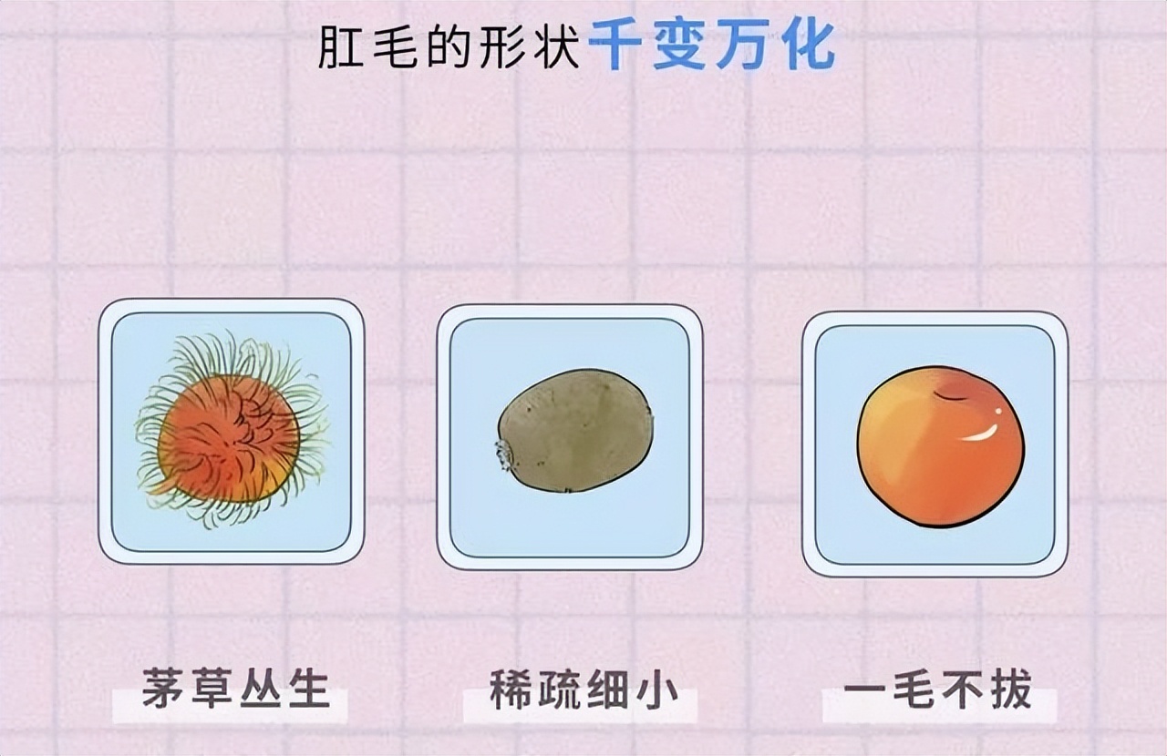 为啥有的人长“屁股毛”，而有的人却不长？为了健康，最好了解下