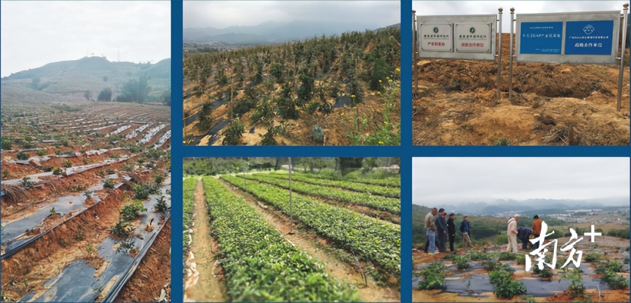 征集下联!乳源瑶药产业园区域公用品牌广告语第二轮征集活动开始啦