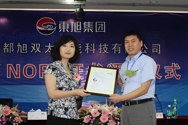 东旭集团深度分析,东旭集团如何应对当前的债务危机