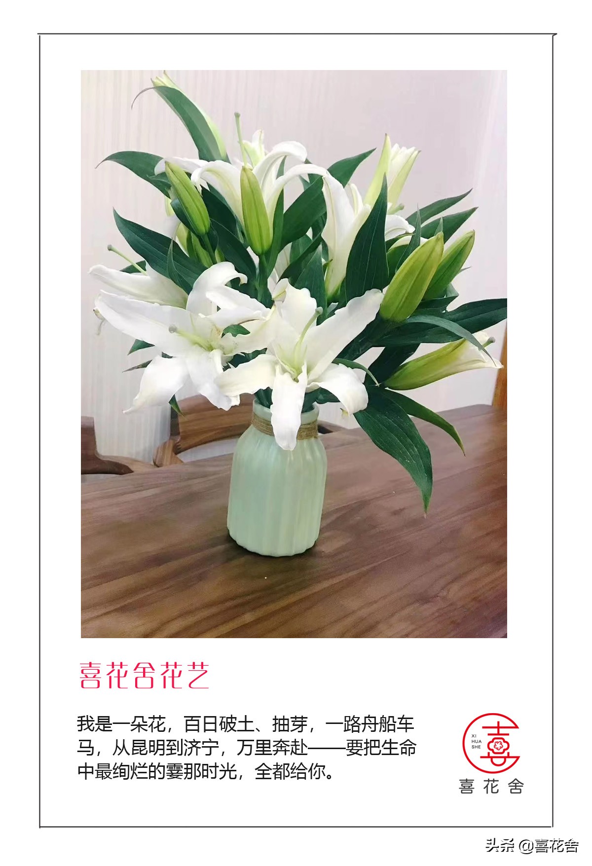 鲜花认识及养护第1：百合花——纯洁、高雅、芳香馥郁的花中女王