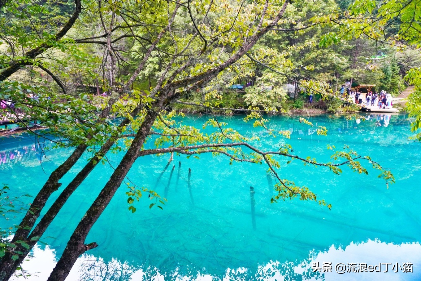九寨沟里最美酒店,九寨沟顶级风景酒店