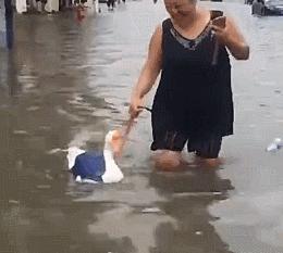 天津人就是哏儿,天津人真哏儿