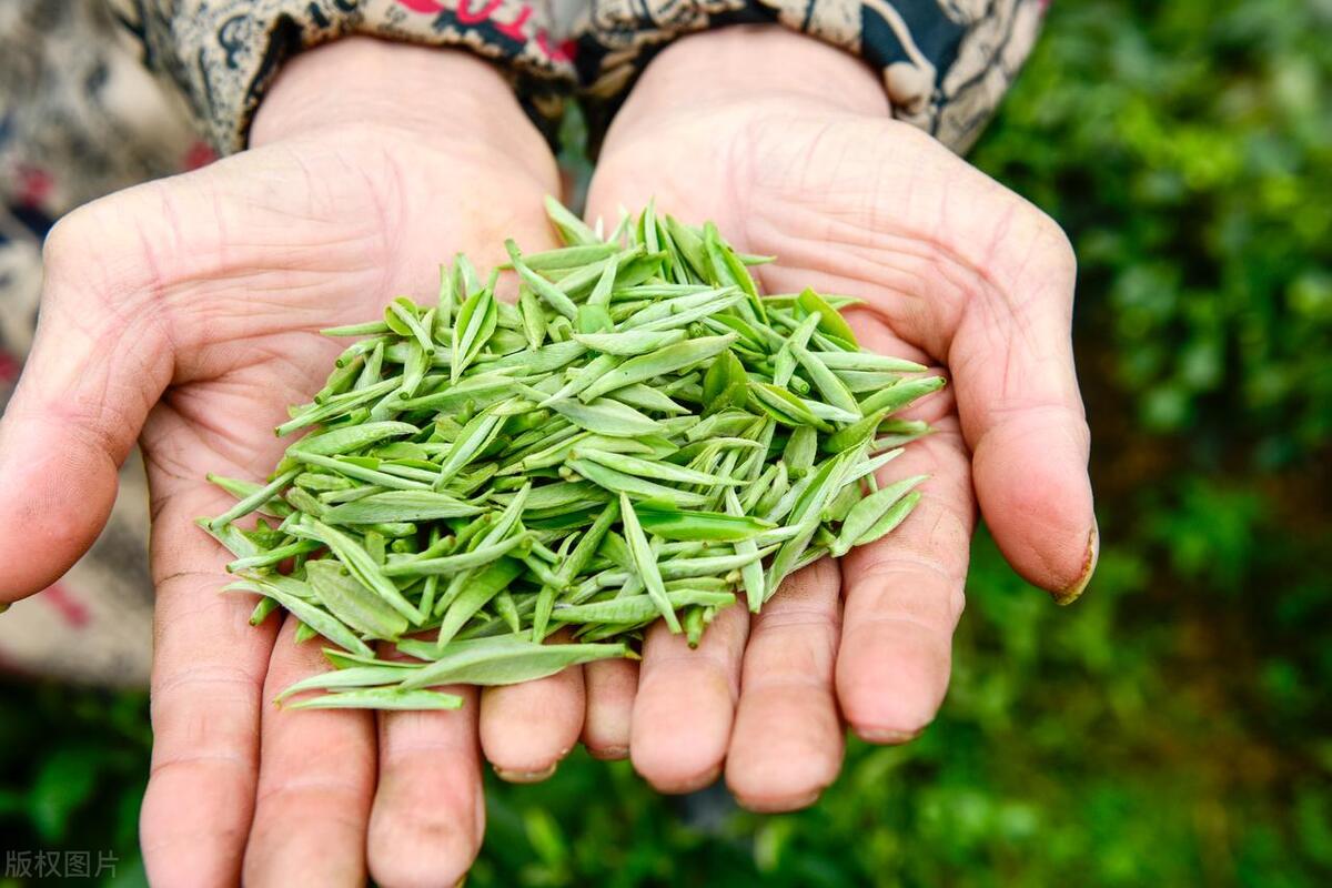 为什么网上卖的茶叶便宜,为什么网购茶叶这么便宜