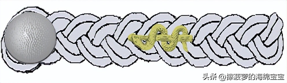 二战德国国防军医疗兵军衔标志