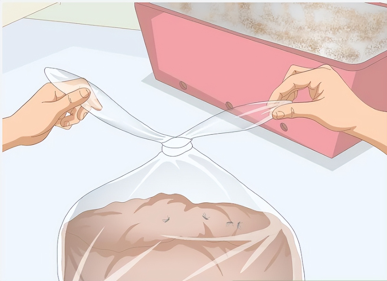 怎么消除厨房的小蚊子,怎么去除厨房异味和蚊虫