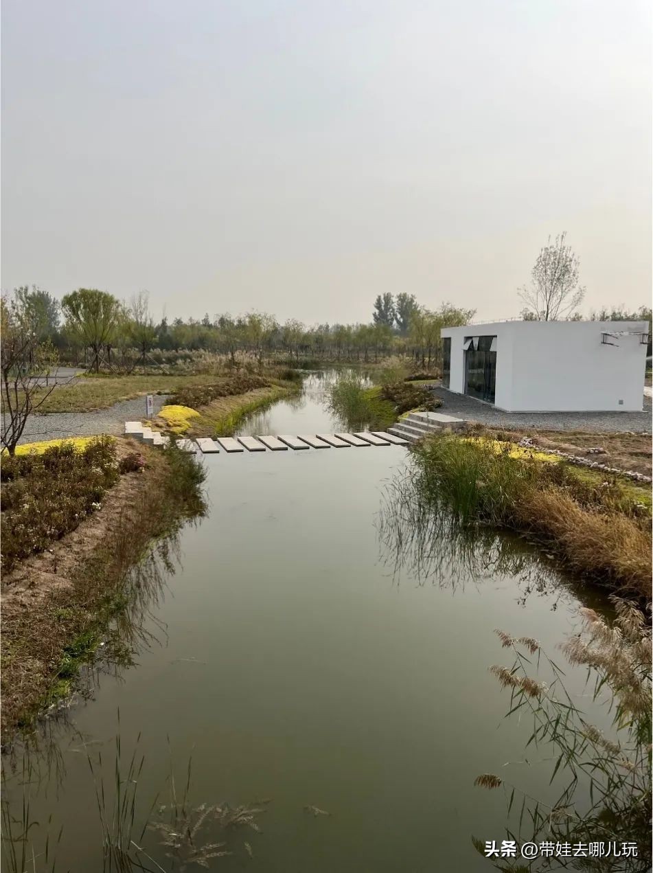 藏在二环的超小众免费公园,免费游玩的小公园