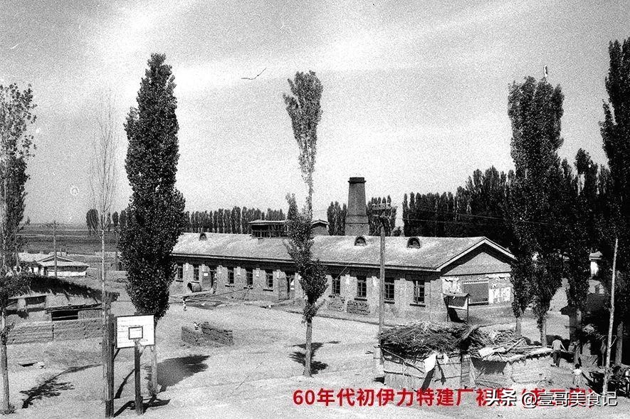 伊力特和茅台哪个好,新疆伊力特酒厂新产品