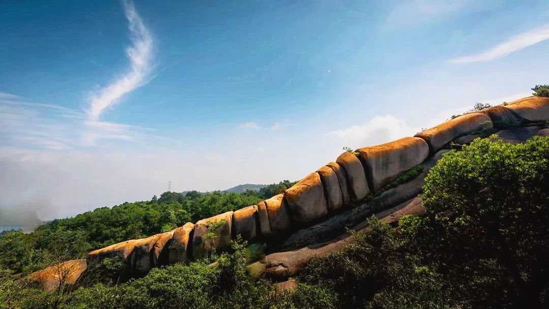 亲近春天，爬山正当时！温州这些绝美山峰快快约起！