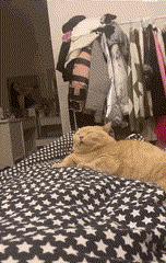 手机充电太慢怎么办vivo,安卓手机充电太慢怎么办