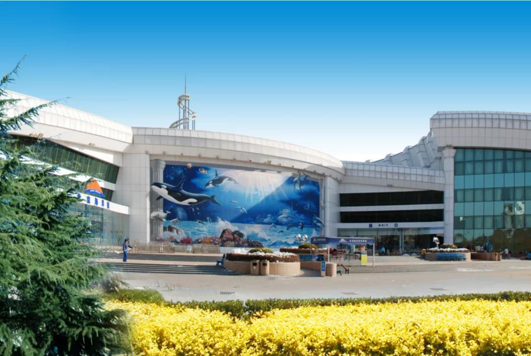 北京门头沟海淀网红打卡地,北京海淀区网红打卡地好吃的