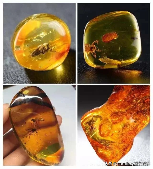 小琥珀嵌在煤精里,这块琥珀的科学价值是什么