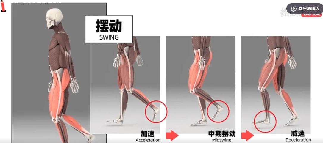 鞋带紧法教程,鞋带松怎么系紧