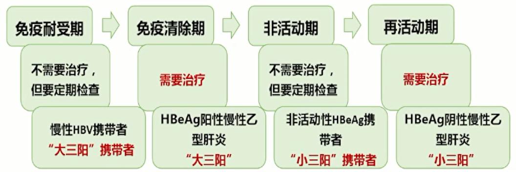 如何快速看懂乙肝化验单,乙肝携带查乙肝五项怎么看化验单