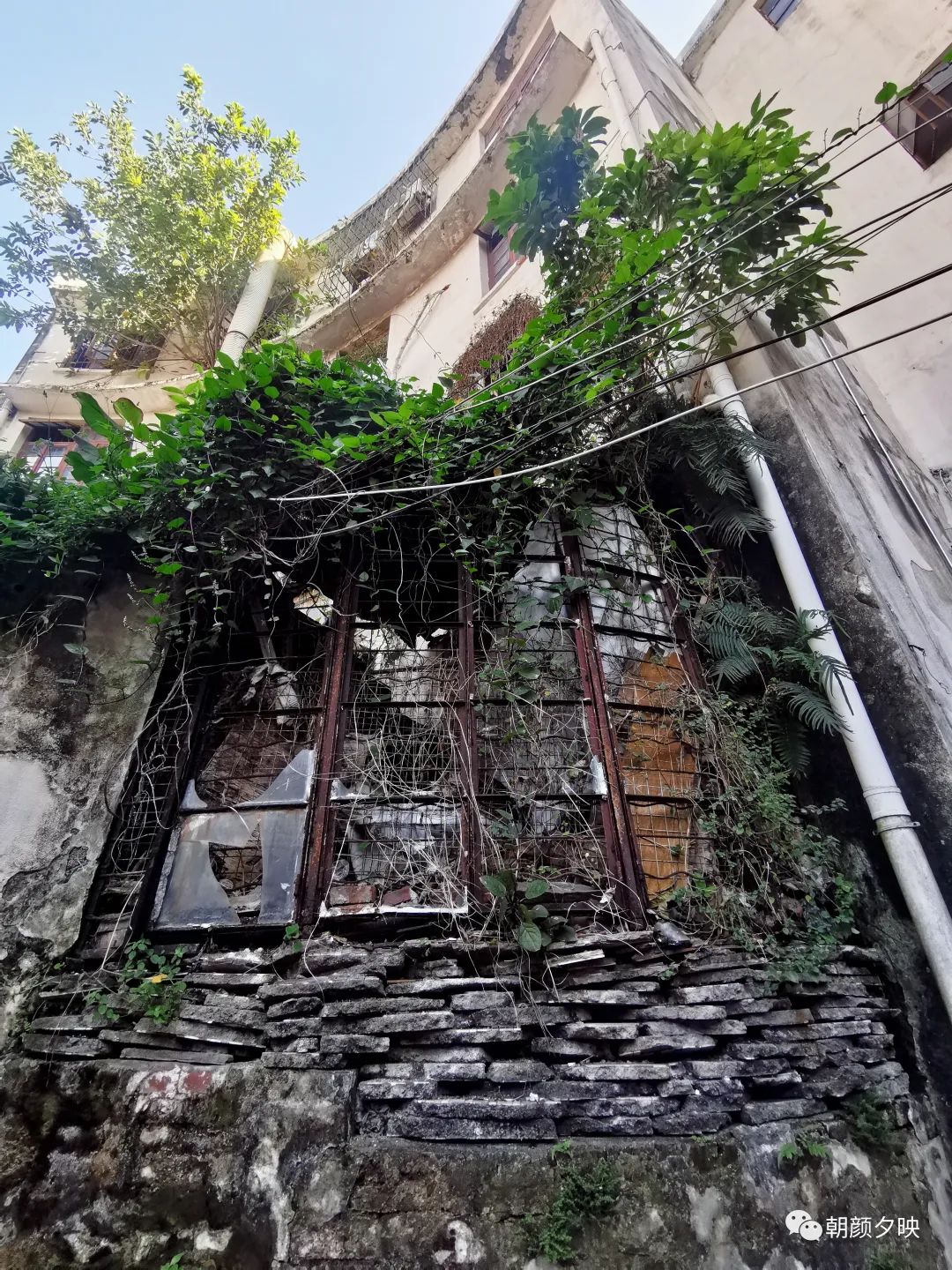 巷里淮扬菜,巷里坊间