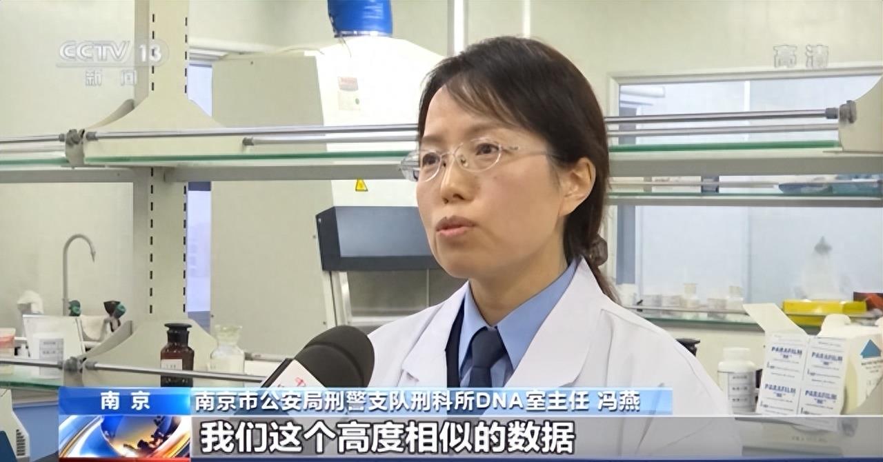 案件破解视频,案件破解解说