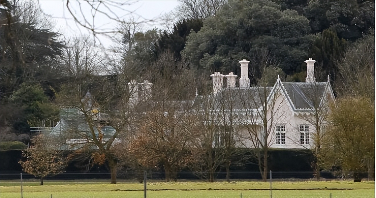 omicron鍥戒骇鐤嫍,omicron鐤嫍