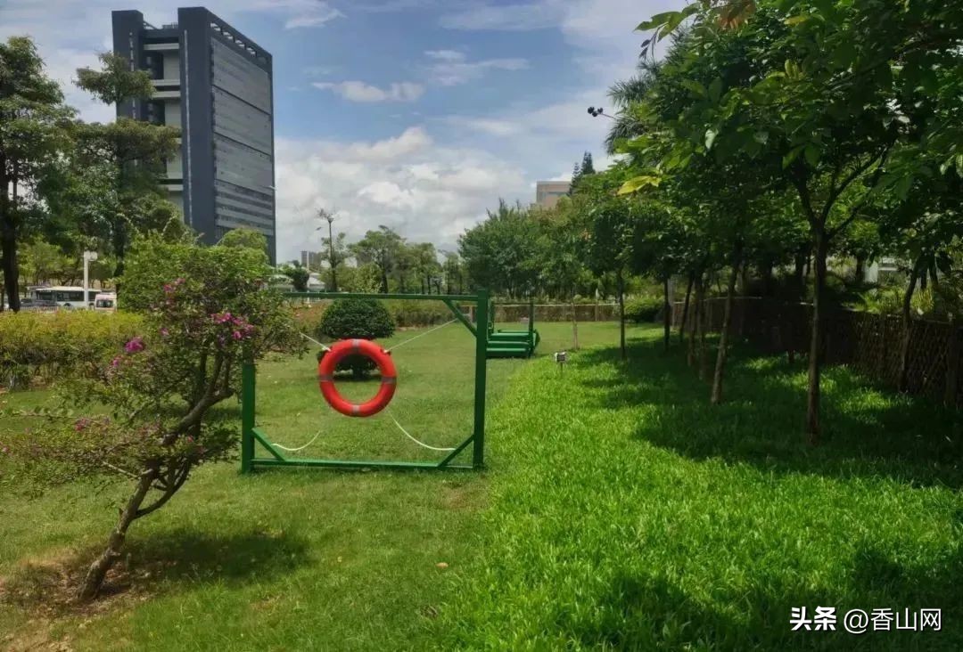 珠海唐家遛狗好去处,周末遛狗好去处乌鲁木齐