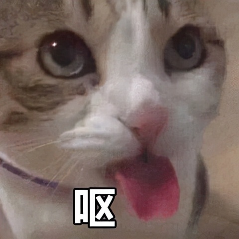 这些315曝光过的坑你踩过哪些,315曝光视频回放