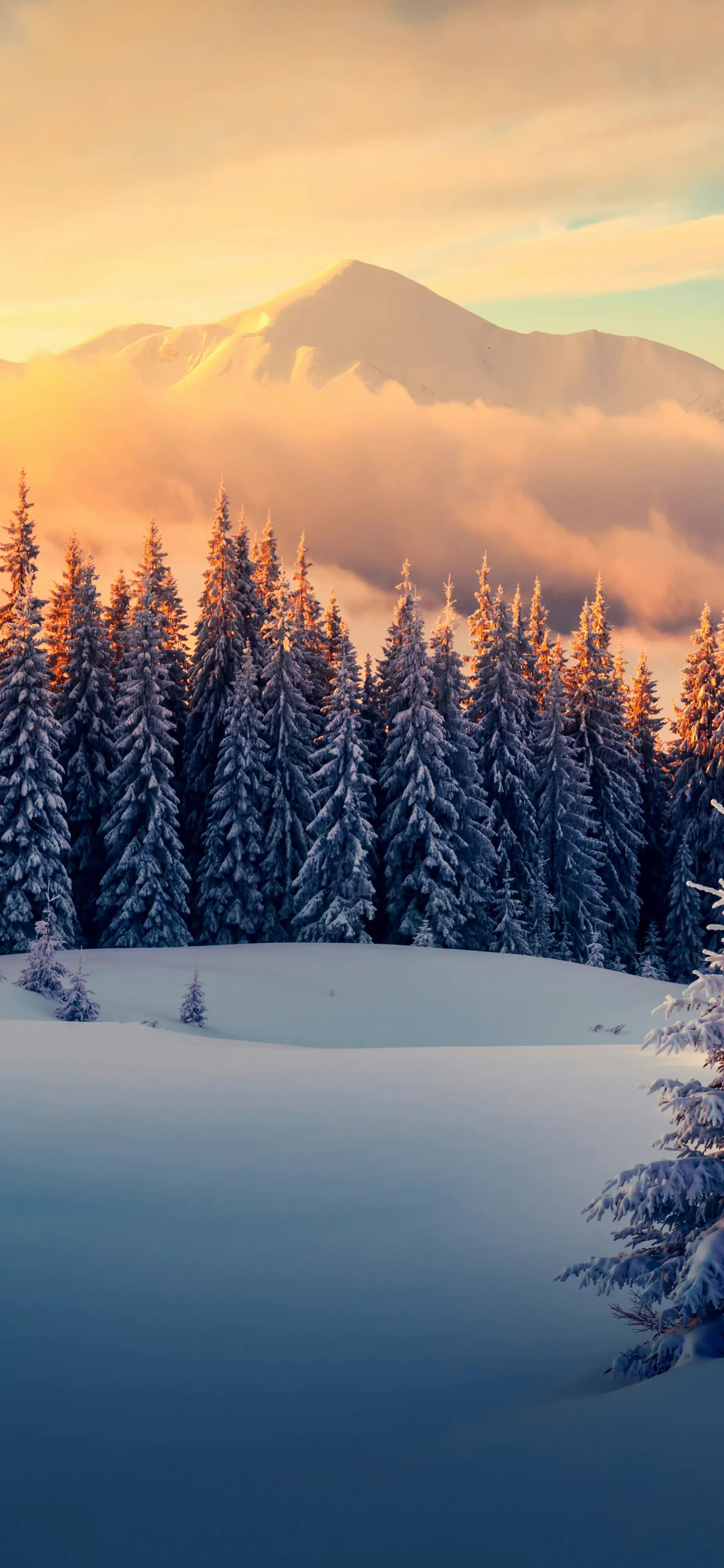 品读七首大雪诗词,大雪时节的唯美诗词