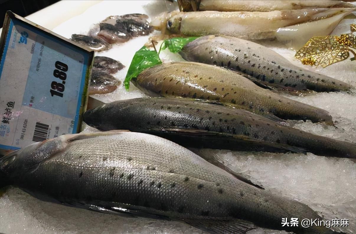 买鲈鱼雄的好还是雌的好,买鲈鱼要不要杀
