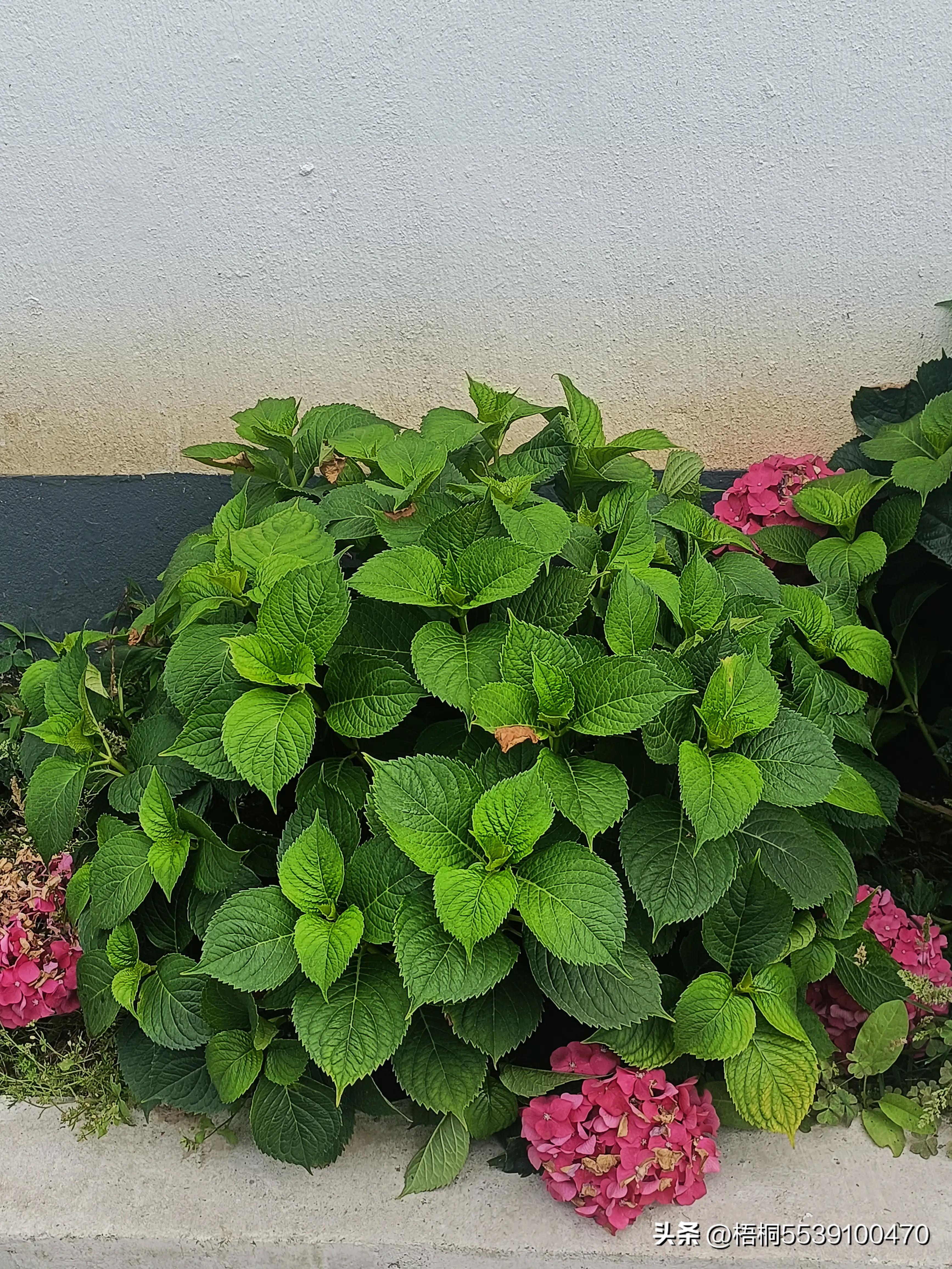 苏州洞庭西山有什么好玩的,苏州太湖东山还是西山好玩