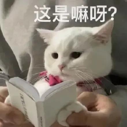 极略三国神黄忠,极略三国神董卓