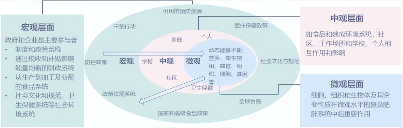 邹大进教授：肥胖治疗，路在何方？