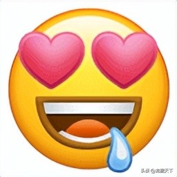 私自加工肉制品违法怎么处罚,政府查扣的肉制品如何处置