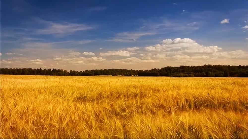 涓簹灏忛害澶ч害,涓簹澶ч害