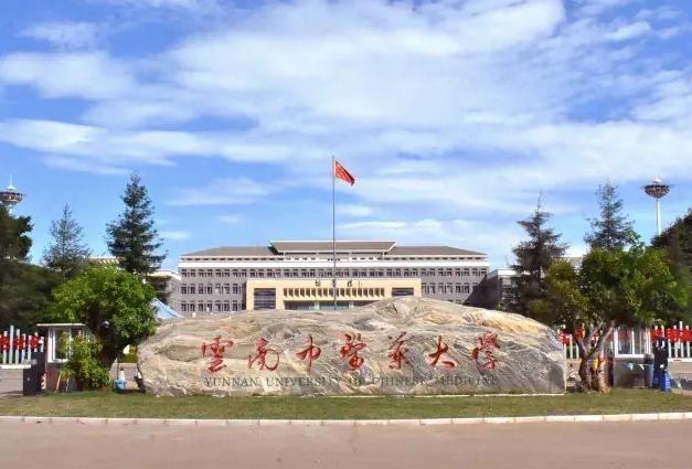 云南大学是一所双一流吗,云南大学一所重点的双一流高校