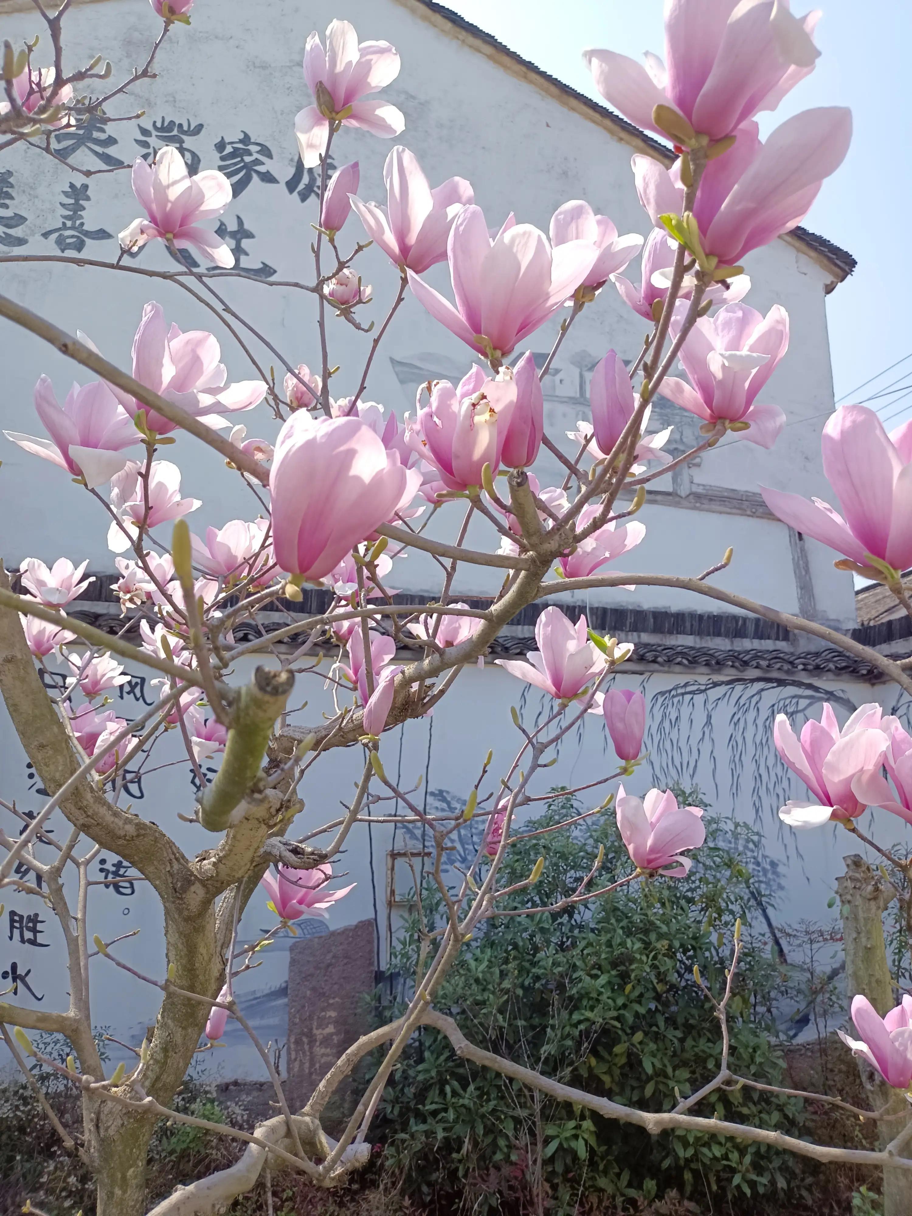 癖好琐谈——购物癖