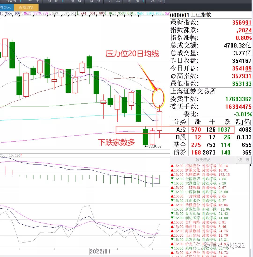 股市晚评今日股评,今日股市跌停板一览表