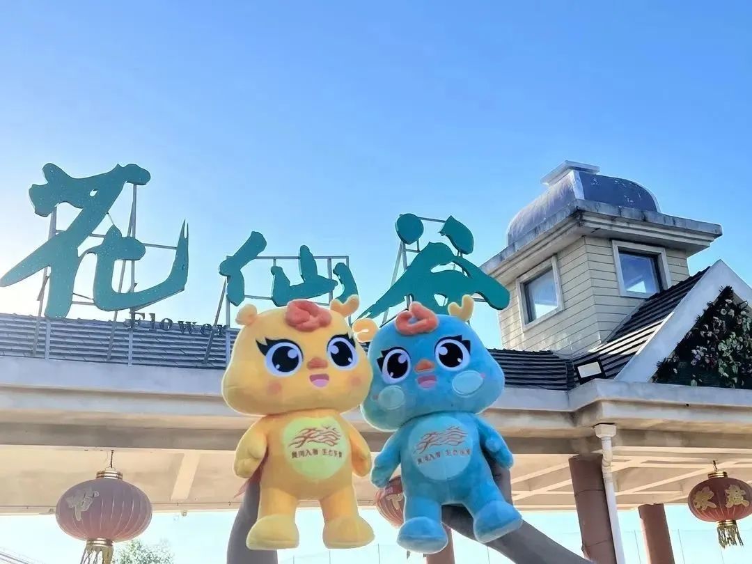 东营秋季旅游攻略,秋天东营旅游攻略必玩的景点