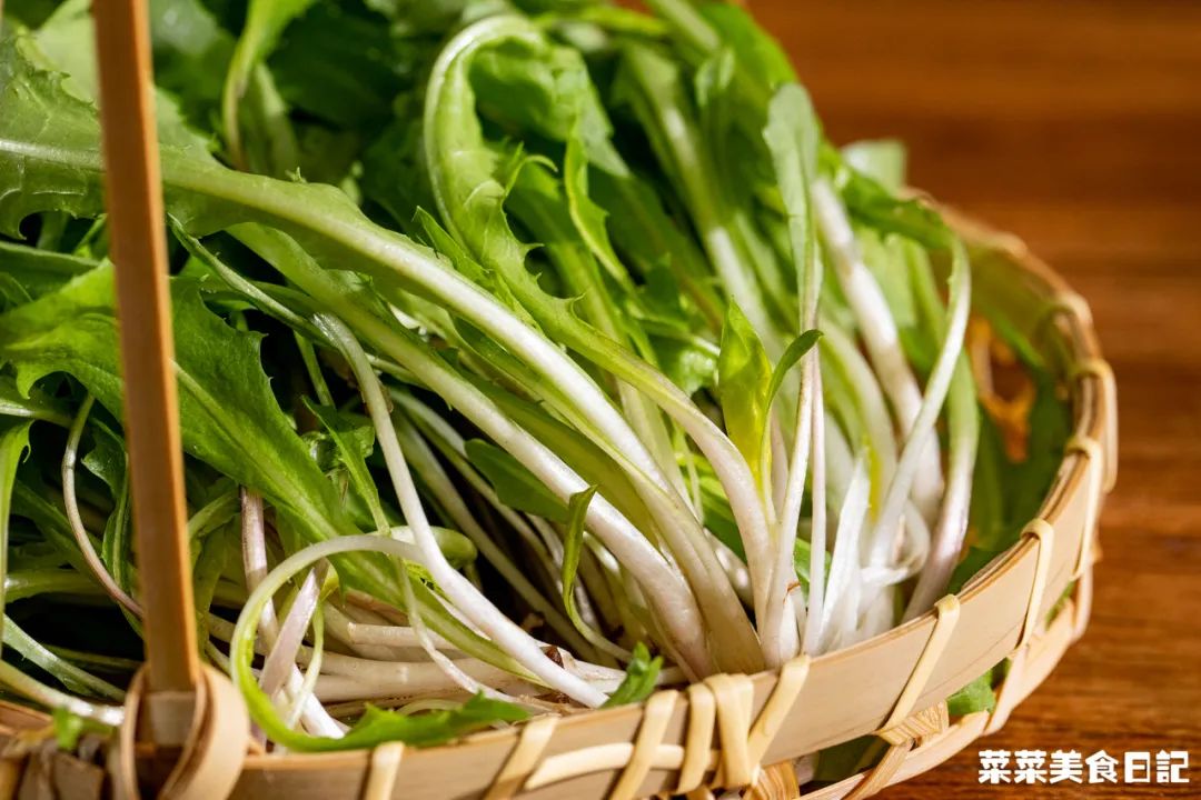 蒲公英茶能清热祛湿吗,新鲜蒲公英怎么吃才去火