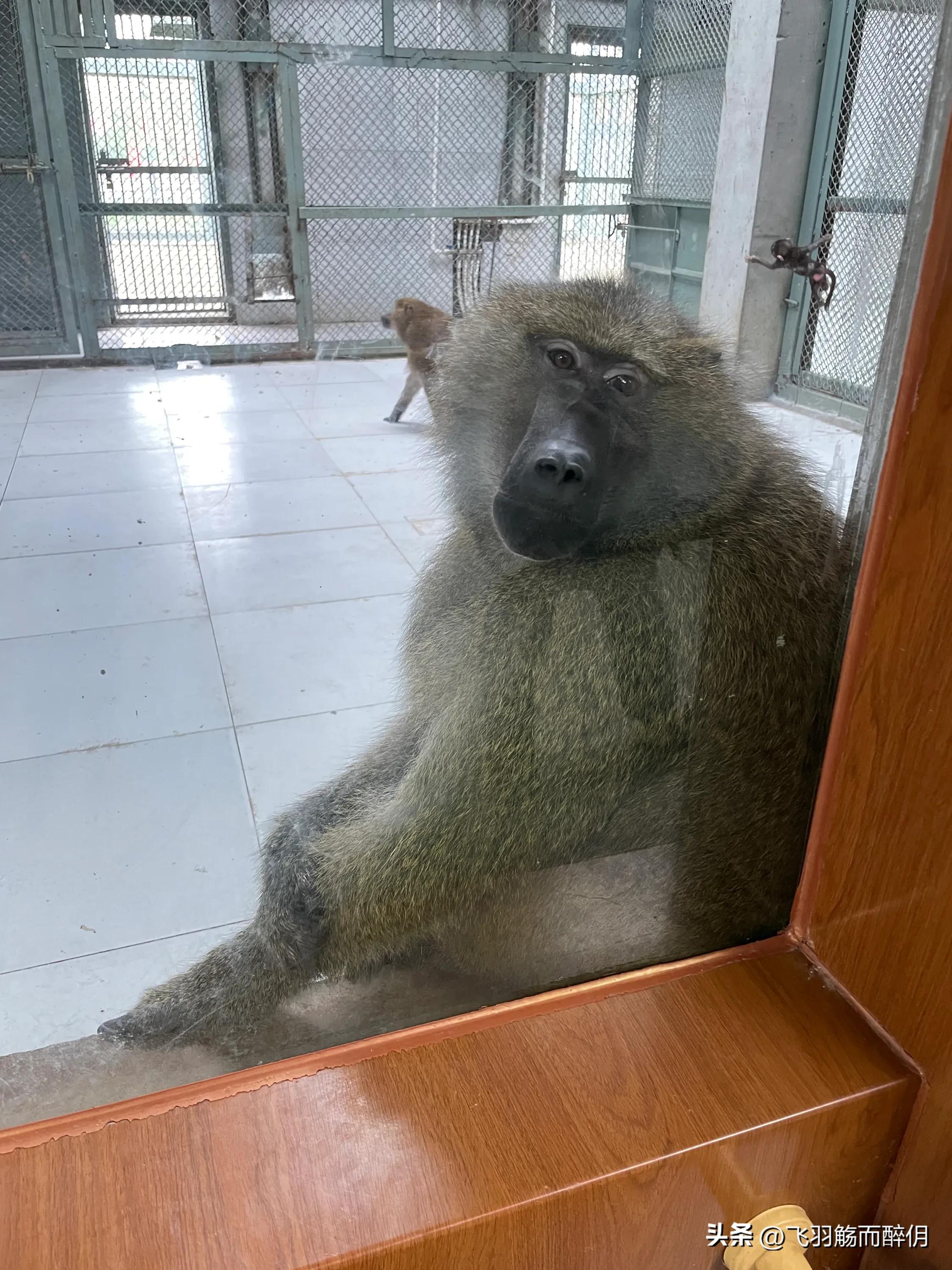 五一沧州一日游最佳攻略,沧州人五一去哪儿玩