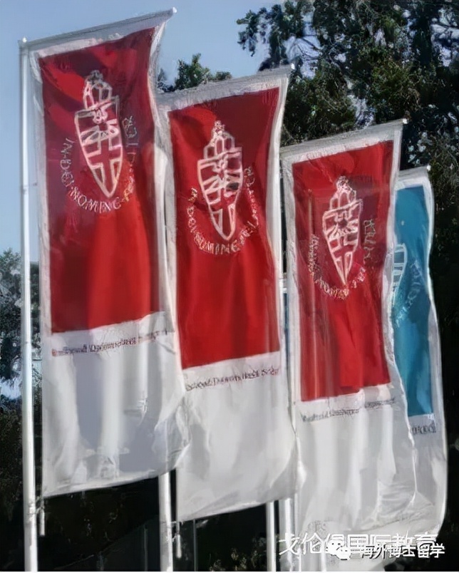 博士留学｜奈梅亨大学岗位制博士火热招生中—