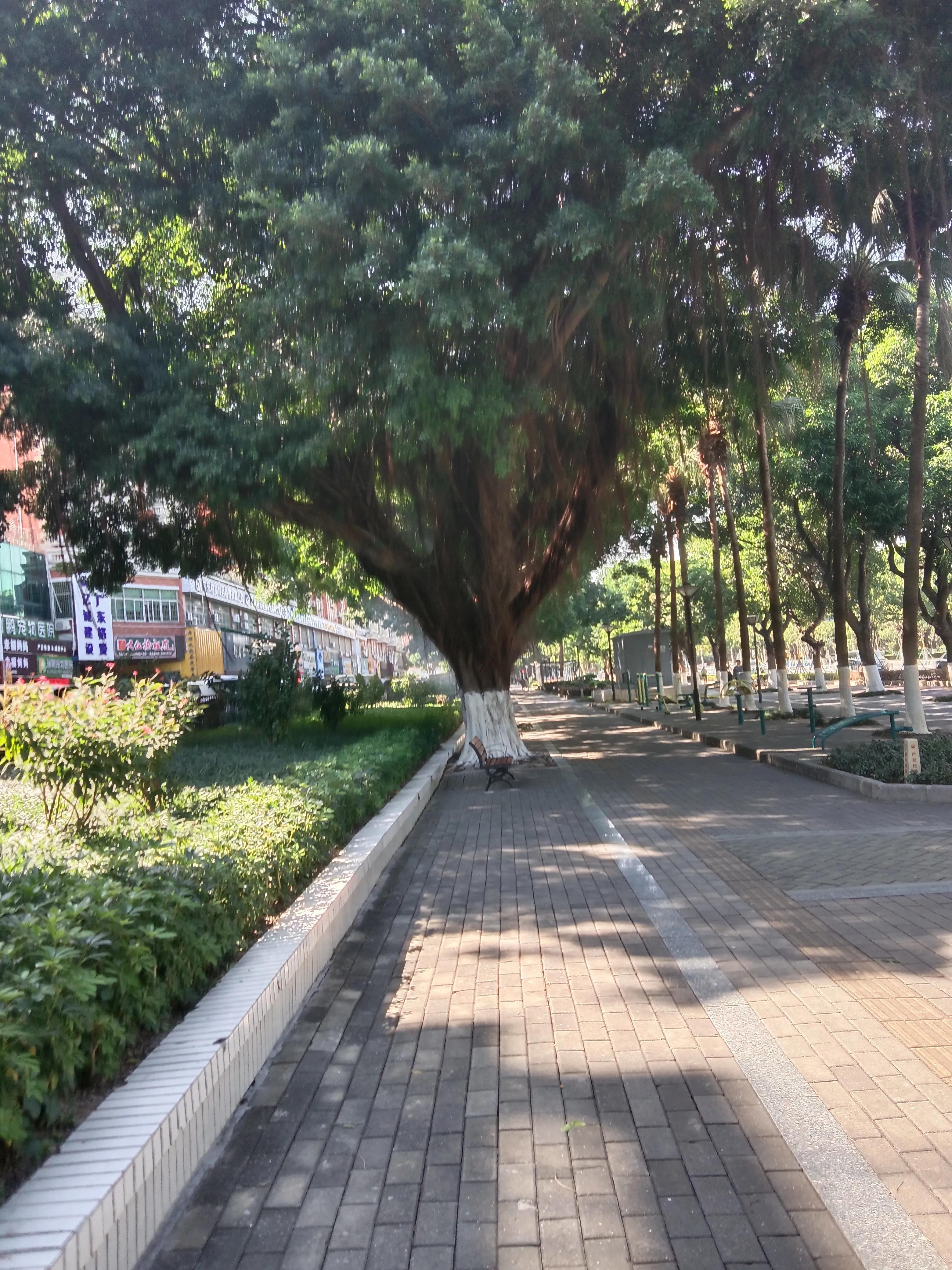 珠海的秋天风景,初冬的美丽景色