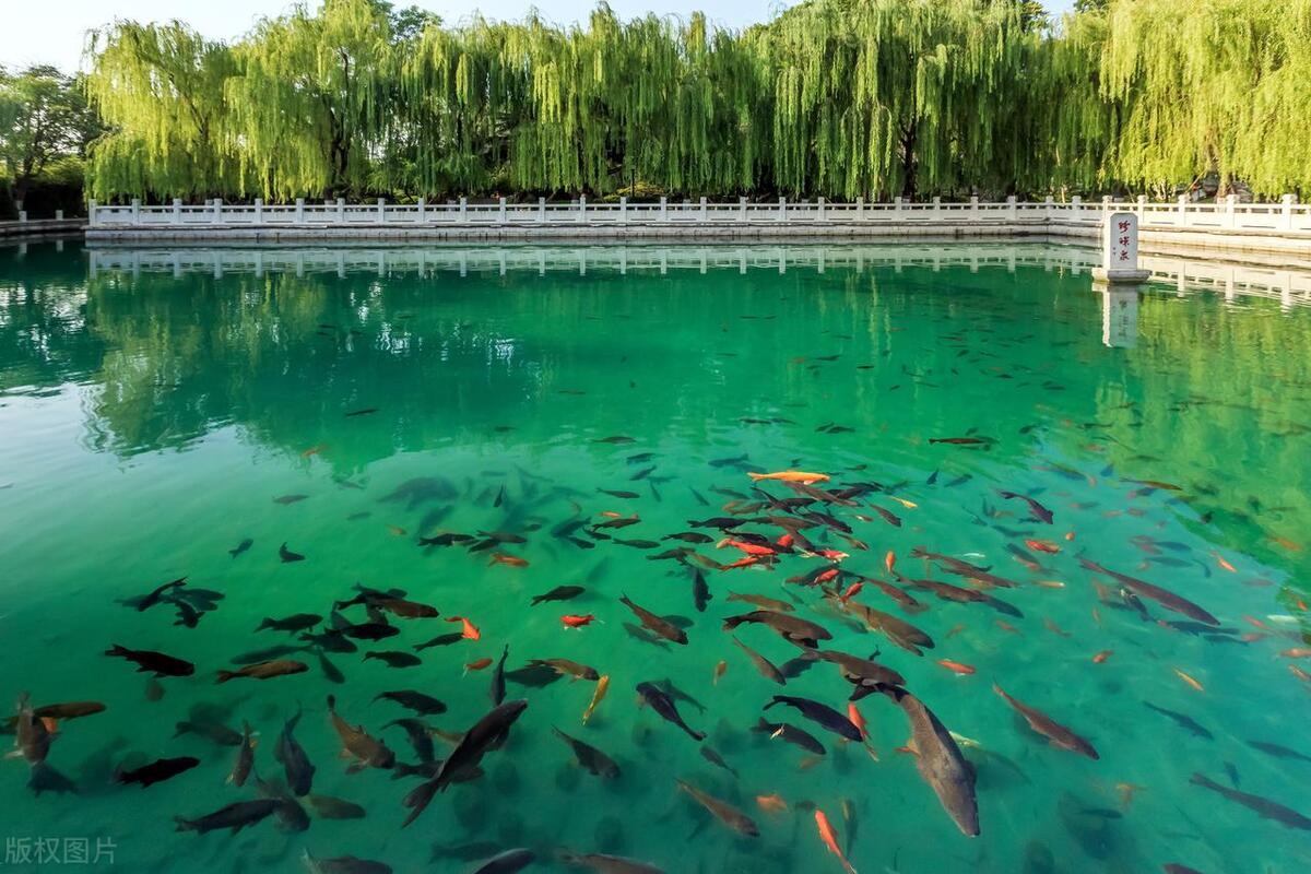 济南市区好玩免费的山,济南免费游玩的地方推荐