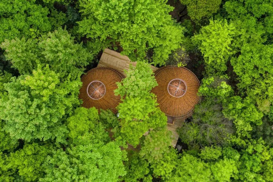 神仙眷侣辞掉高薪工作，爆改废弃山谷，悬崖高空造无边恒温泡池