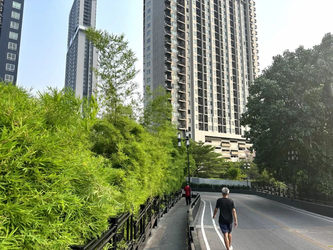 在泰国买房的人都踩过哪些坑？泰国养老置业避雷！建议收藏