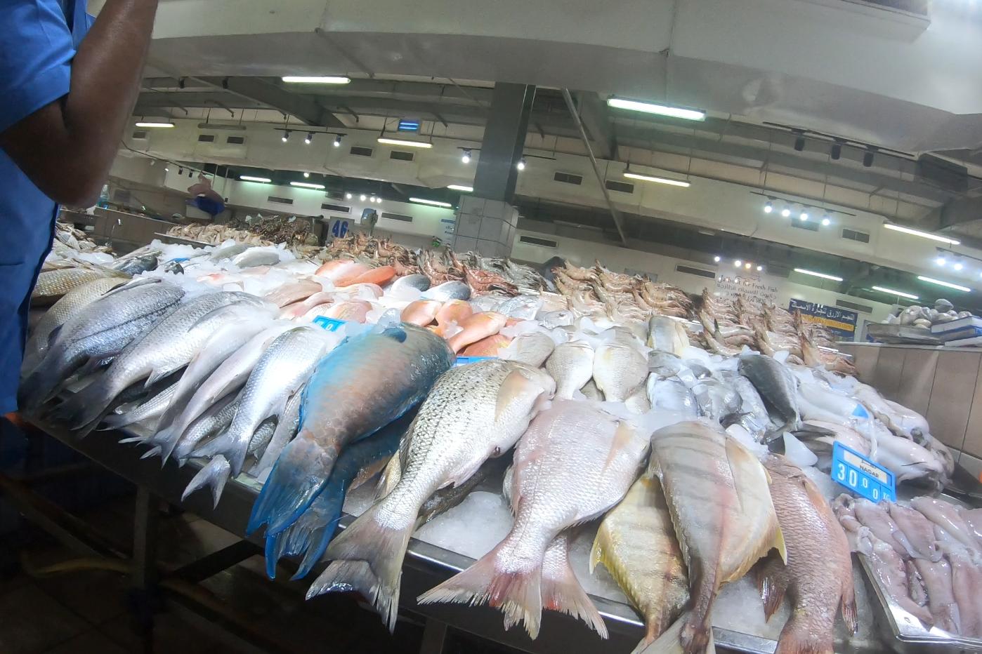 中国小伙的航海日记,34:中国人埃及购物贵10倍?韩船长一招反诈